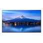 Sharp P656, 65" P-Series LFD, UHD